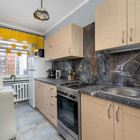 Air Conditioned With Balcony In By Renters Apartment Katowice