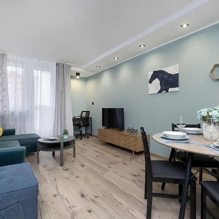 Air Conditioned With Balcony In By Renters * Katowice