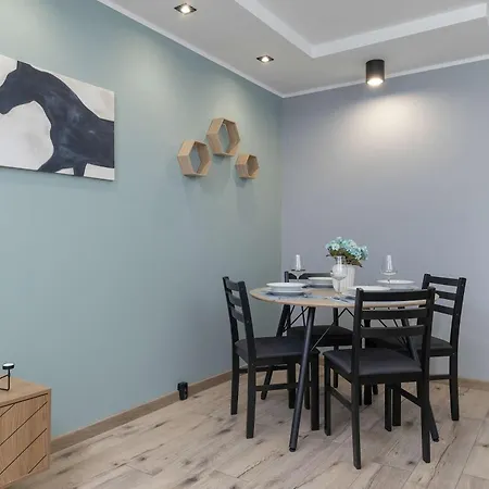 Air Conditioned With Balcony In By Renters Katowice