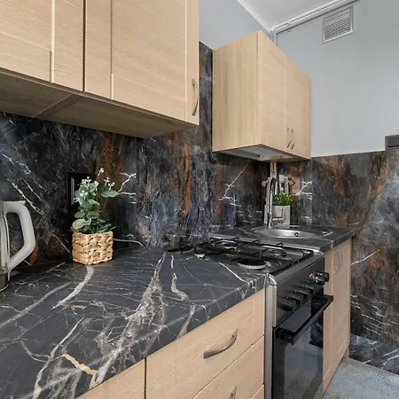 Apartment Air Conditioned With Balcony In By Renters Kattowitz