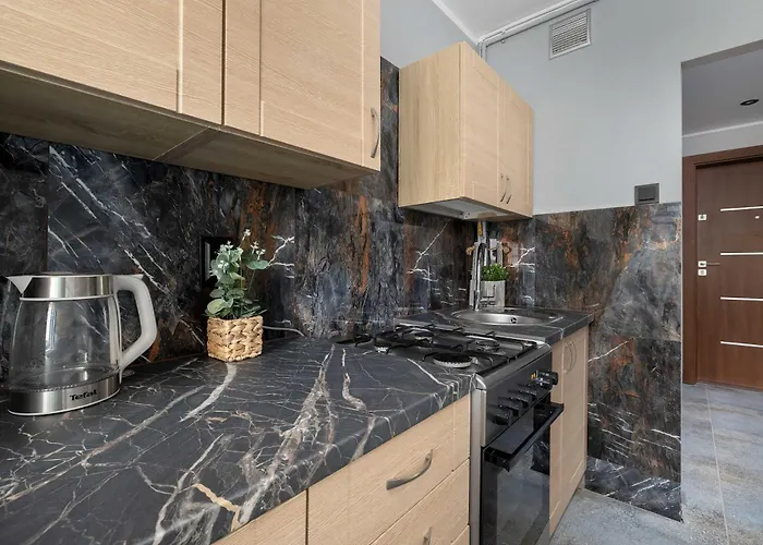 Apartment Air Conditioned With Balcony In By Renters Katowice